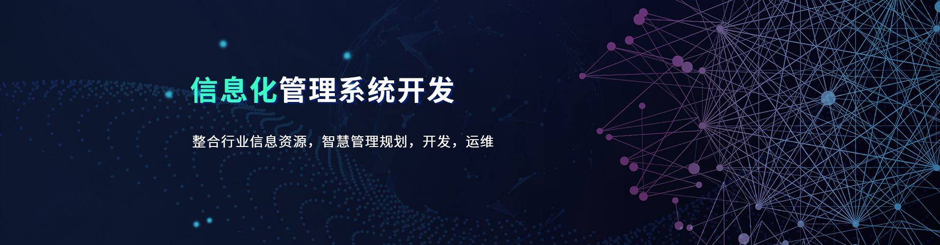 信息化管理系統(tǒng)開(kāi)發(fā)