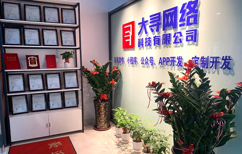 廈門市大尋網絡科技有限公司